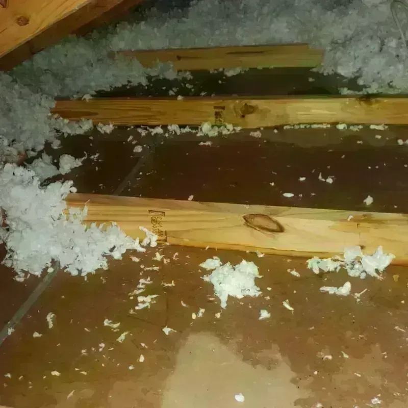 Attic Water Damage in Adair County, KY